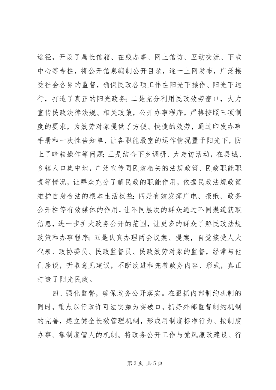 2023年民政局个人工作报告.docx_第3页