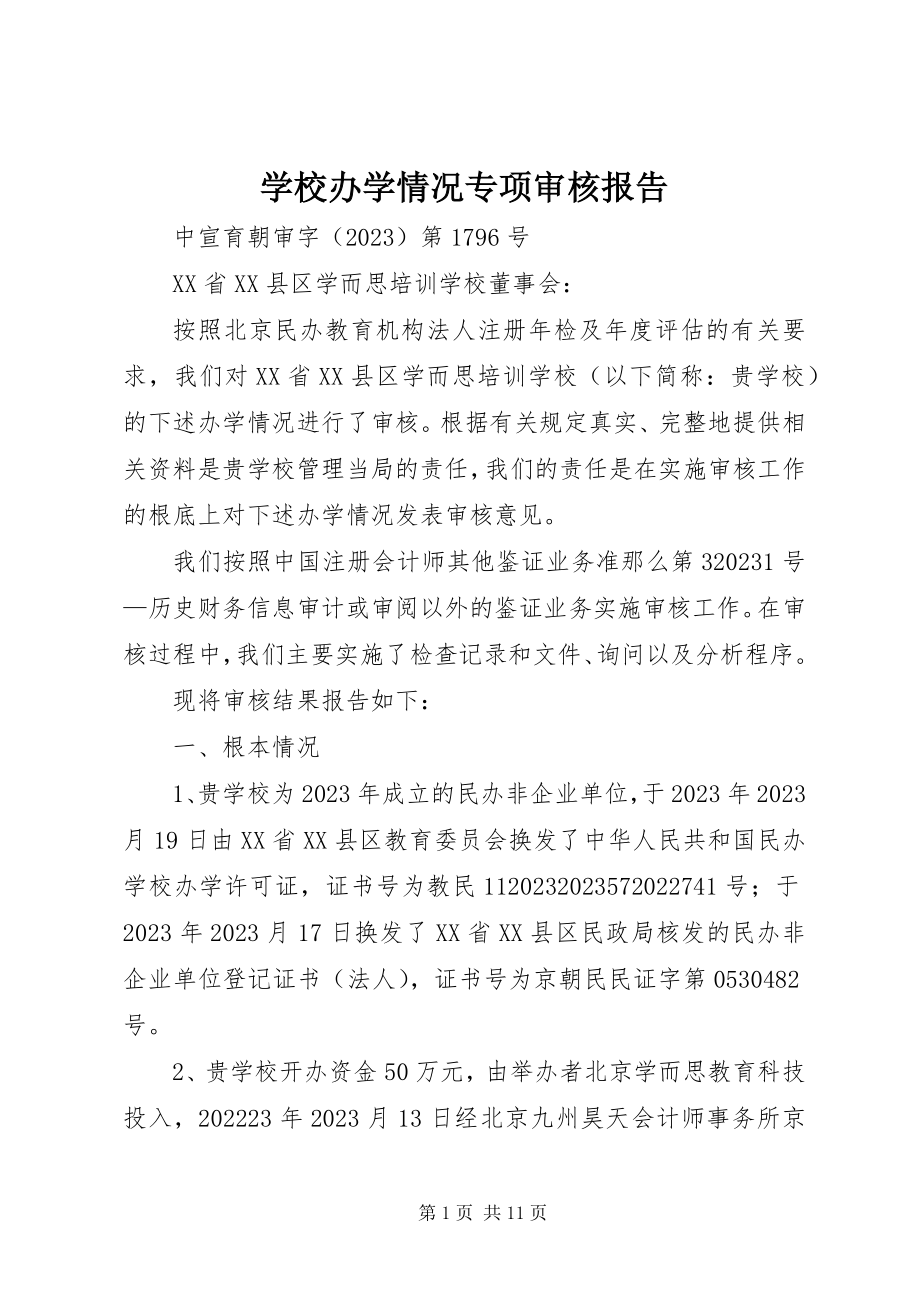 2023年学校办学情况专项审核报告.docx_第1页