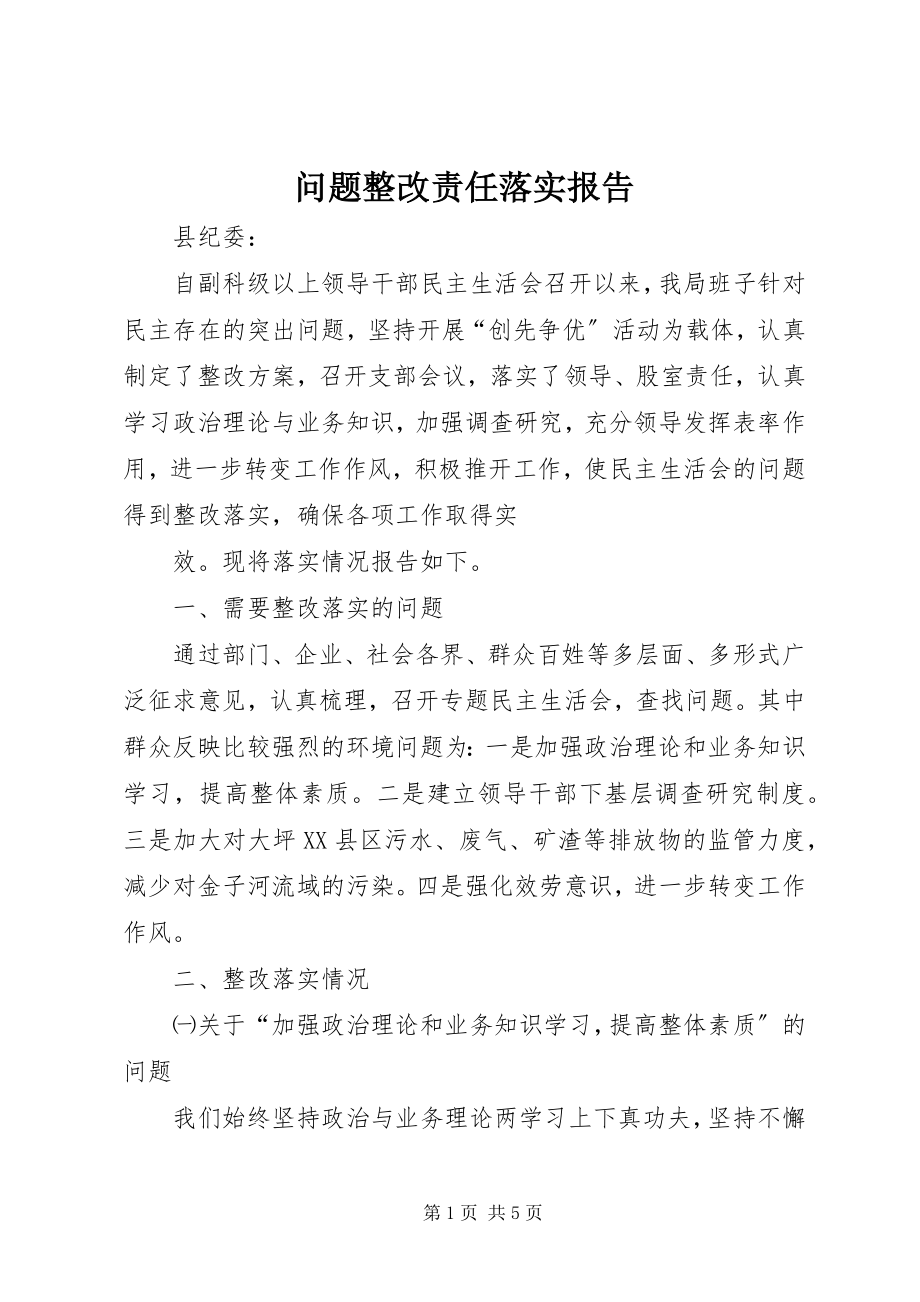 2023年问题整改责任落实报告.docx_第1页