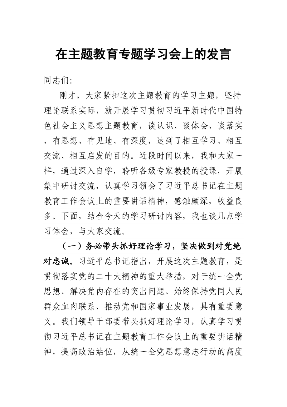 2023年在主题教育专题学习会上的发言 .docx_第1页