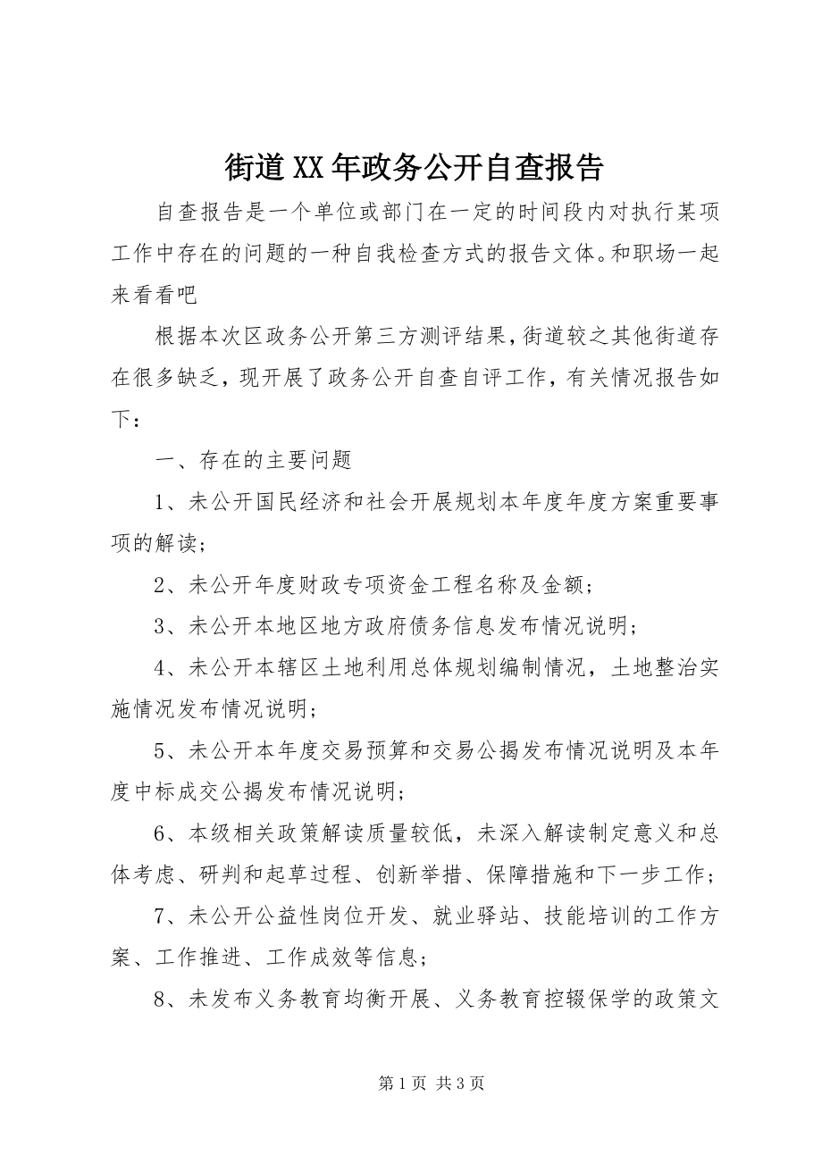 2023年街道政务公开自查报告.docx_第1页