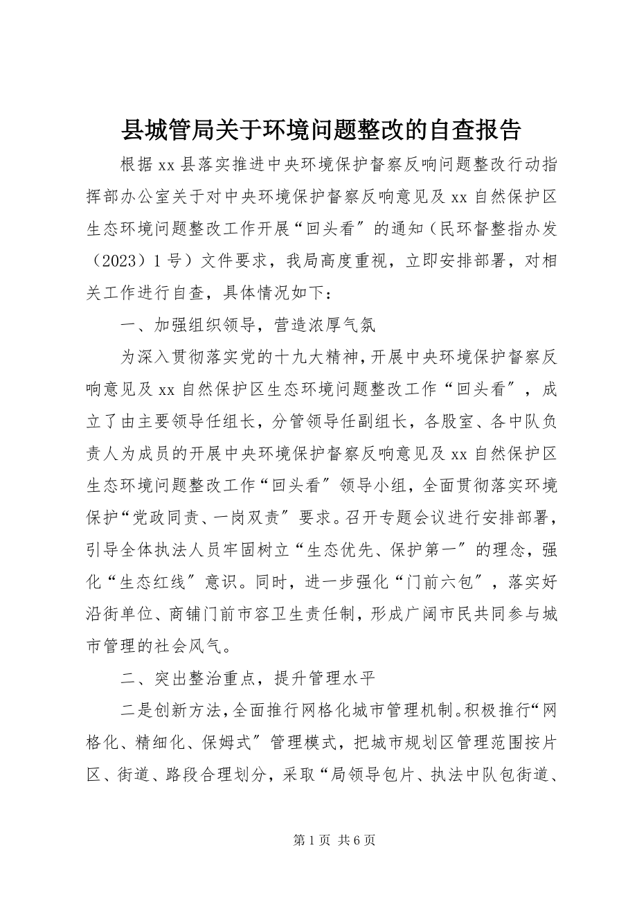 2023年县城管局关于环境问题整改的自查报告.docx_第1页