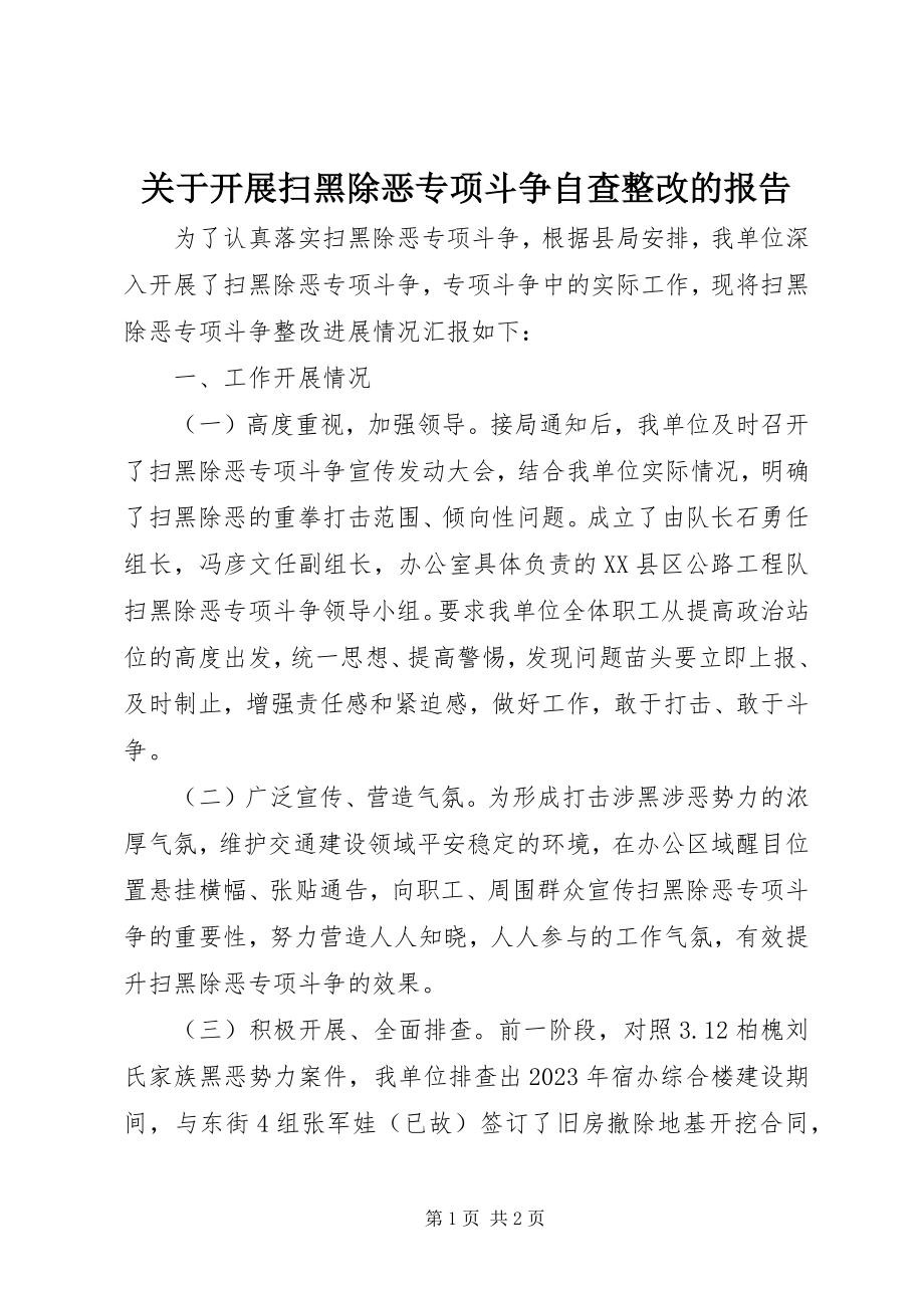 2023年开展扫黑除恶专项斗争自查整改的报告.docx_第1页