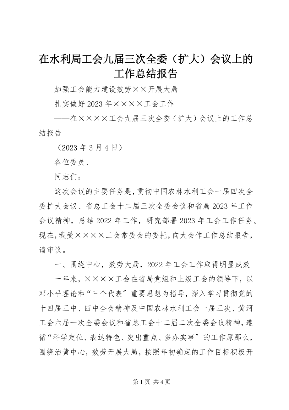 2023年在水利局工会九届三次全委会议上的工作总结报告.docx_第1页