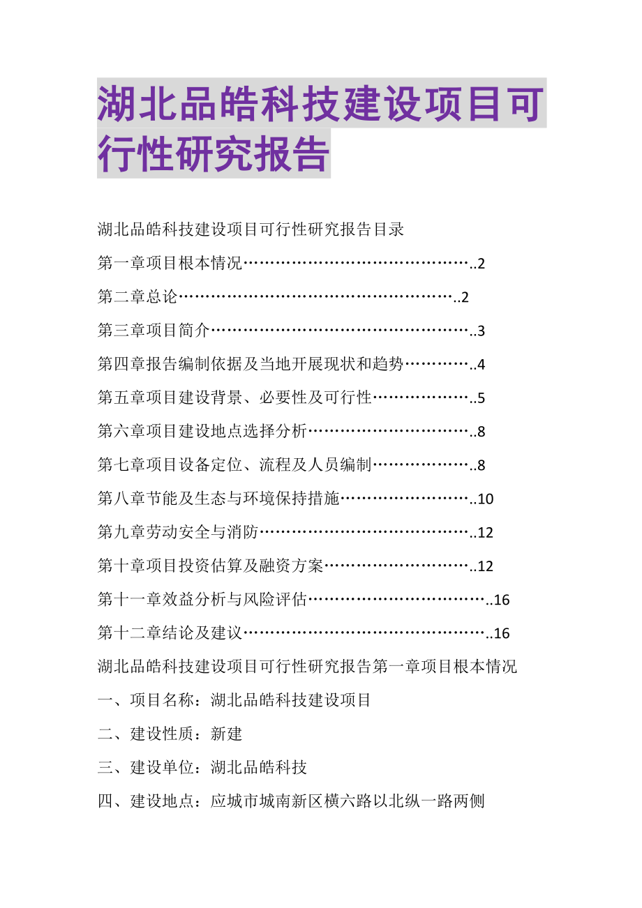 2023年湖北品皓科技建设项目可行性研究报告.doc_第1页