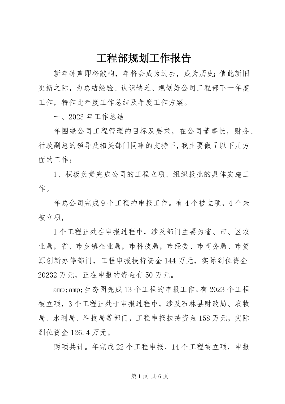 2023年项目部规划工作报告.docx_第1页