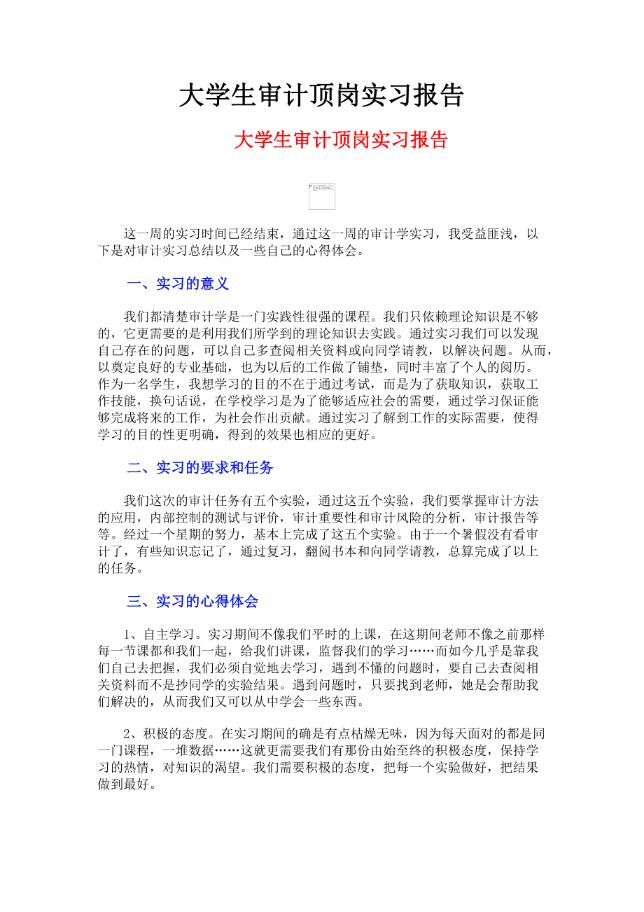 2023年大学生审计顶岗实习报告.doc_第1页