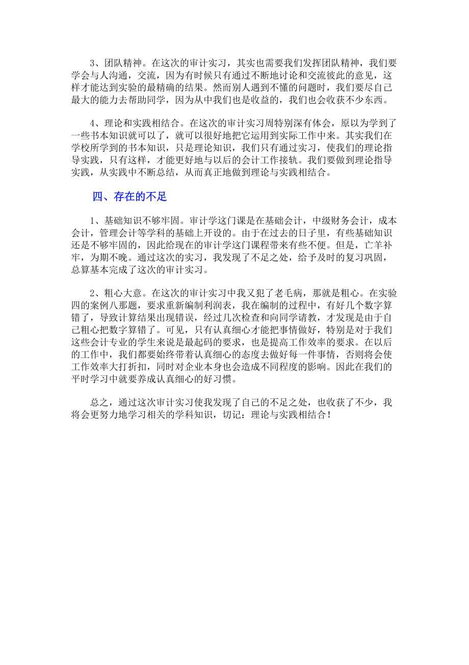 2023年大学生审计顶岗实习报告.doc_第2页