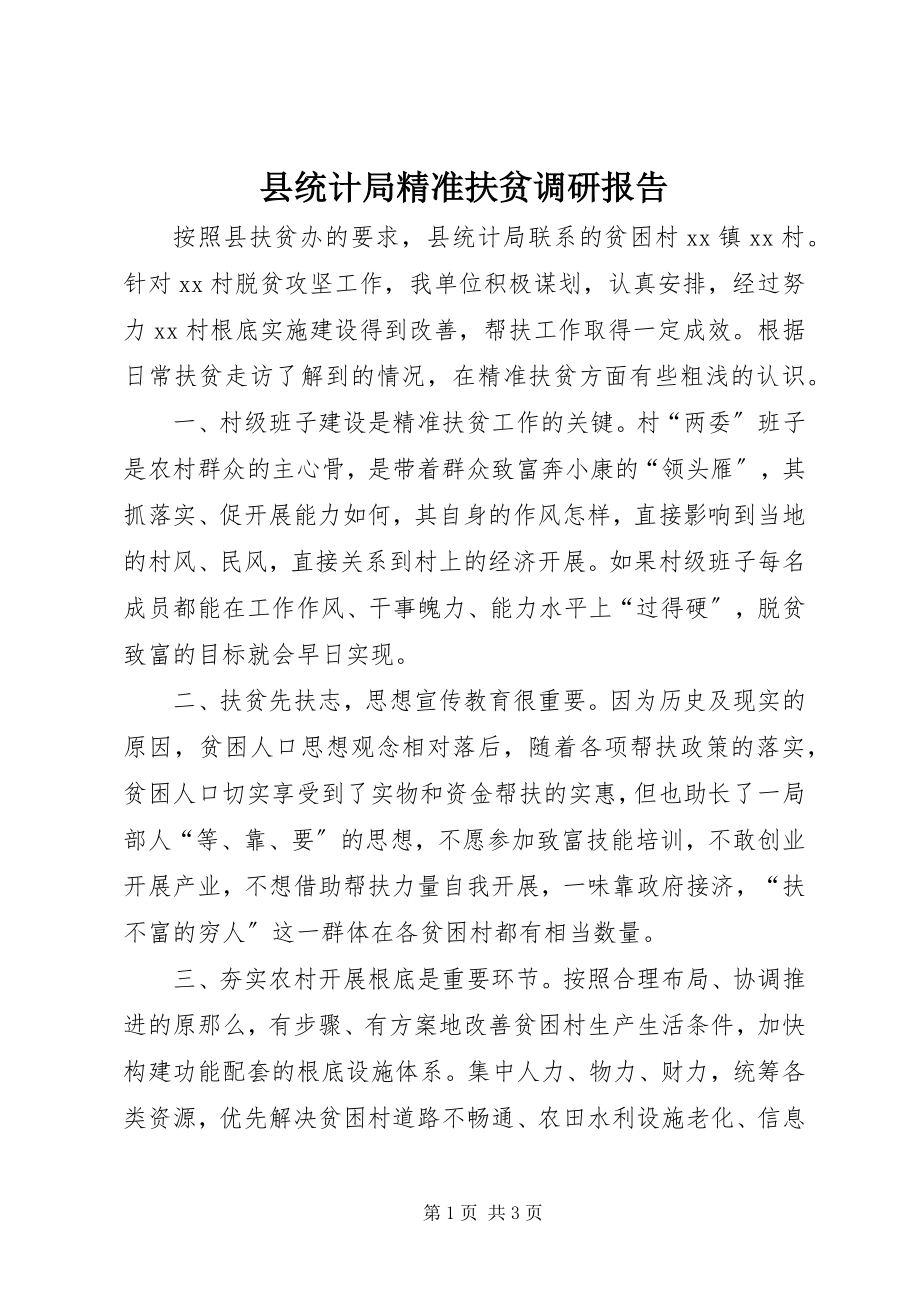 2023年县统计局精准扶贫调研报告.docx_第1页