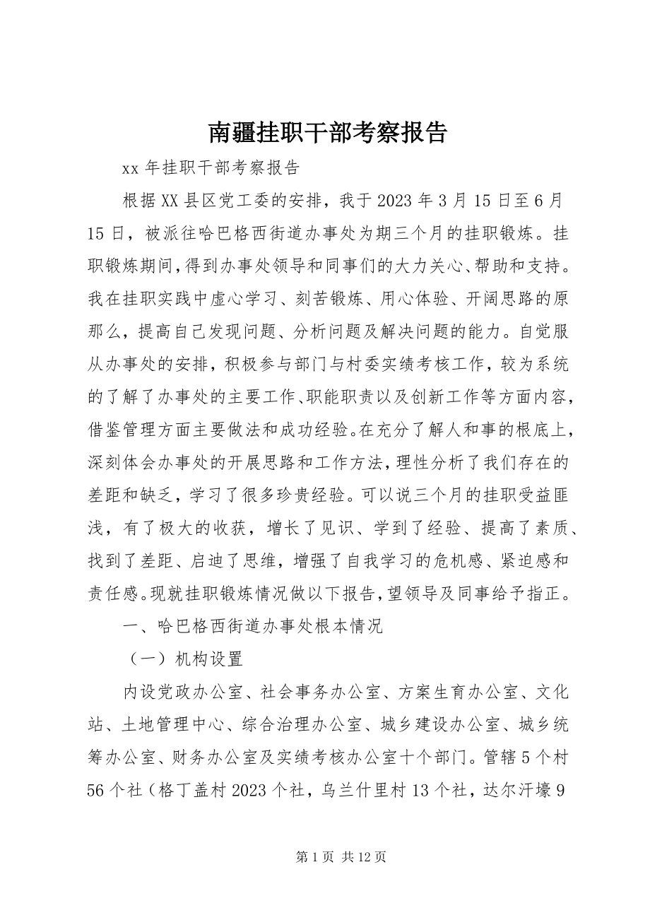 2023年南疆挂职干部考察报告.docx_第1页