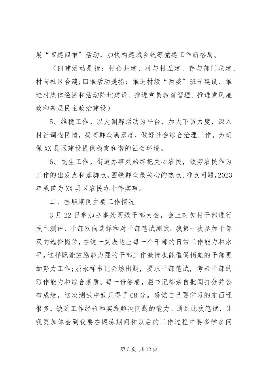 2023年南疆挂职干部考察报告.docx_第3页