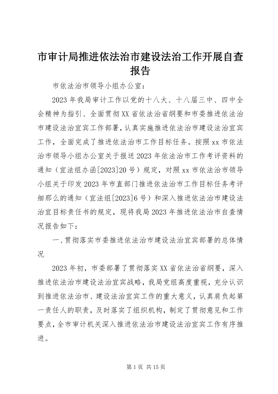 2023年市审计局推进依法治市建设法治工作开展自查报告.docx_第1页