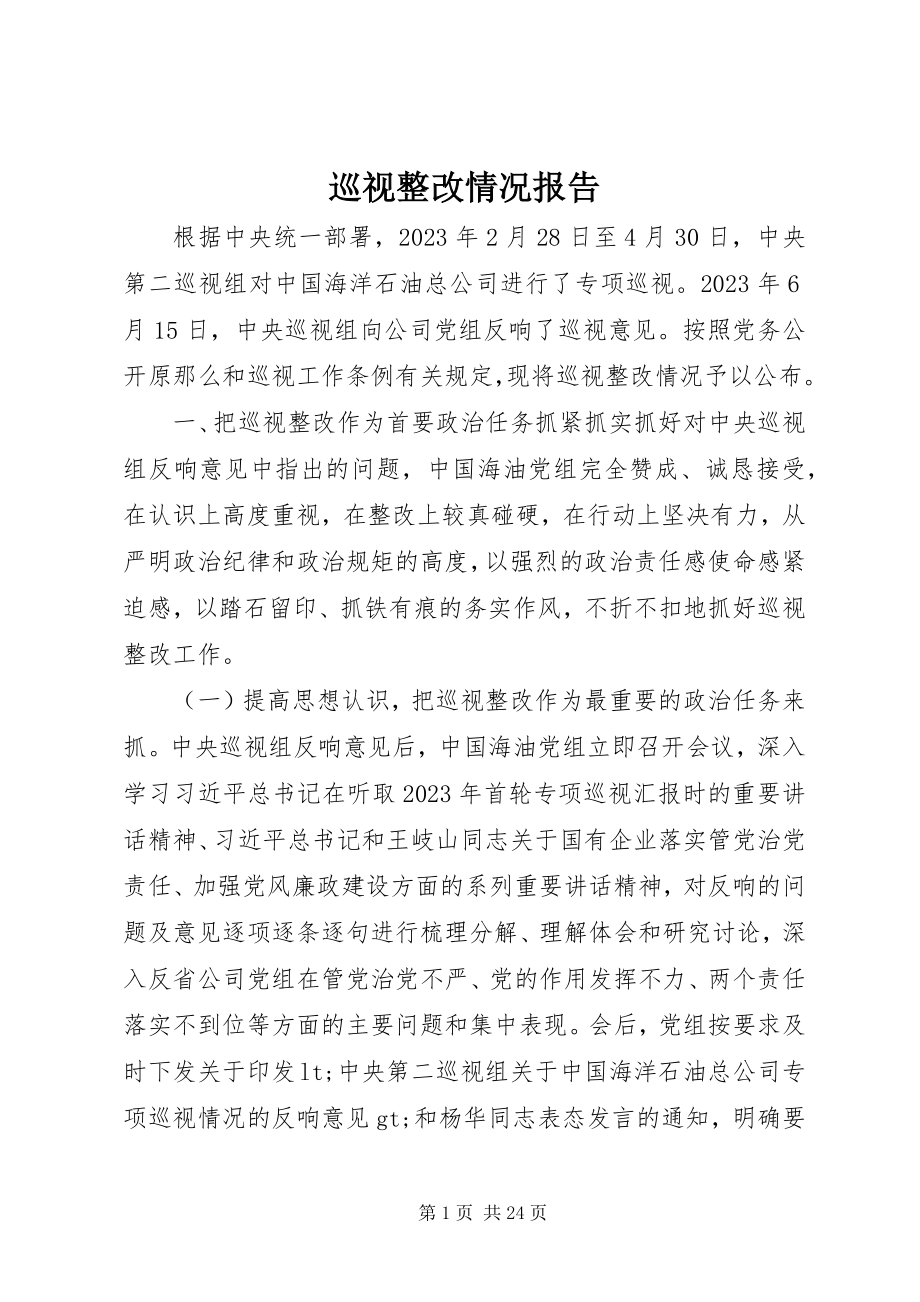 2023年巡视整改情况报告.docx_第1页