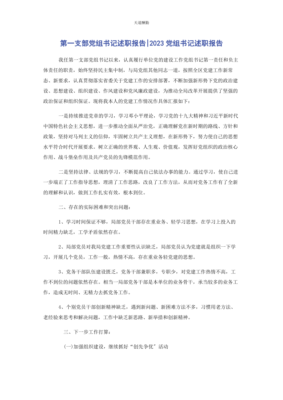 2023年第支部党组书记述职报告党组书记述职报告.docx_第1页