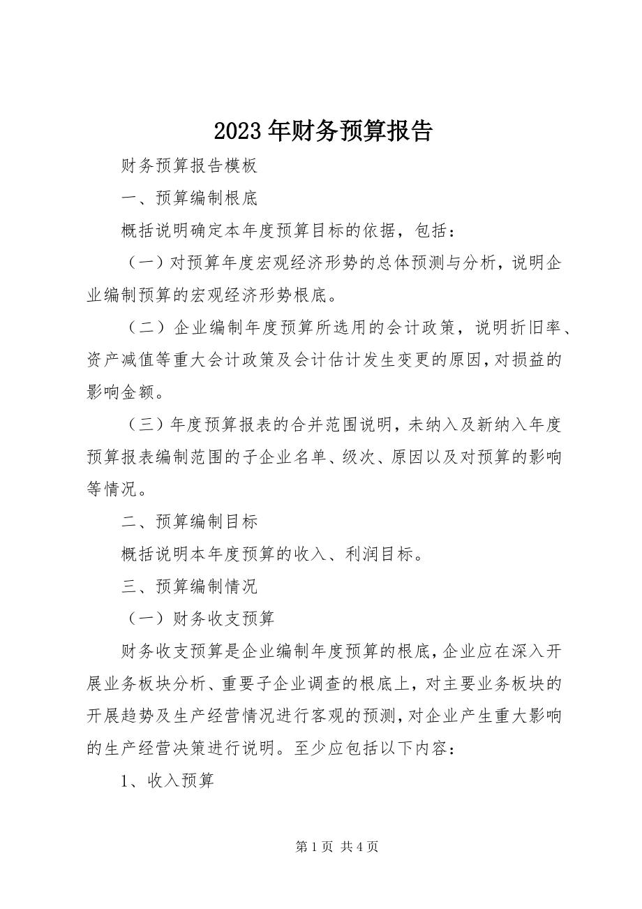 2023年财务预算报告.docx_第1页