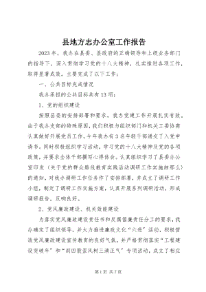 2023年县地方志办公室工作报告.docx