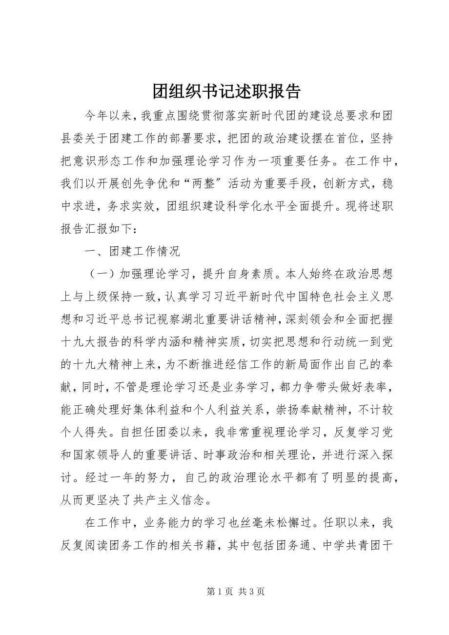 2023年团组织书记述职报告.docx_第1页