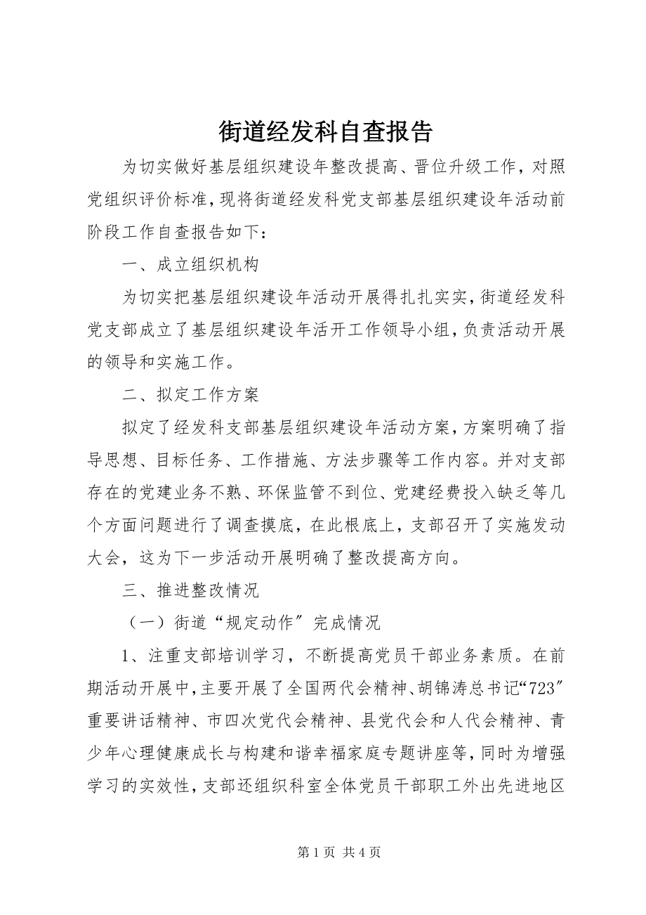 2023年街道经发科自查报告.docx_第1页