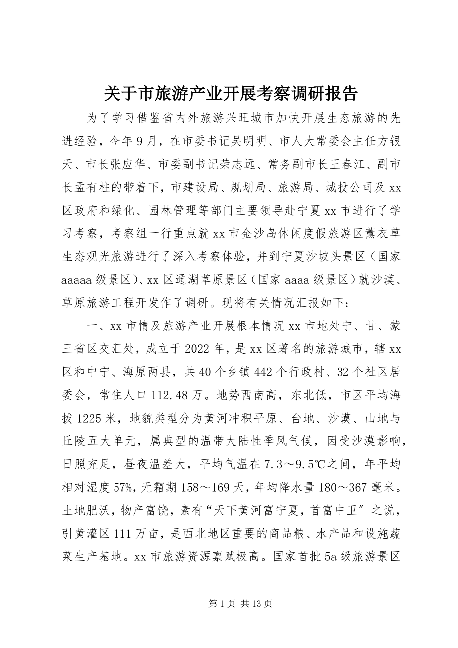 2023年市旅游产业发展考察调研报告.docx_第1页