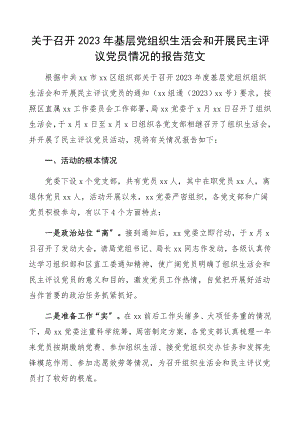 关于召开2023年基层党组织生活会和开展民主评议党员情况的报告精编.docx