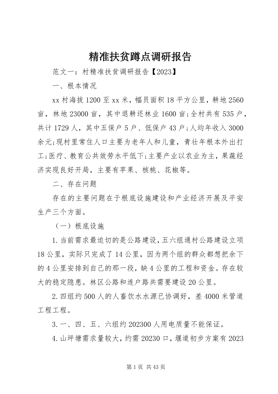 2023年精准扶贫蹲点调研报告.docx_第1页