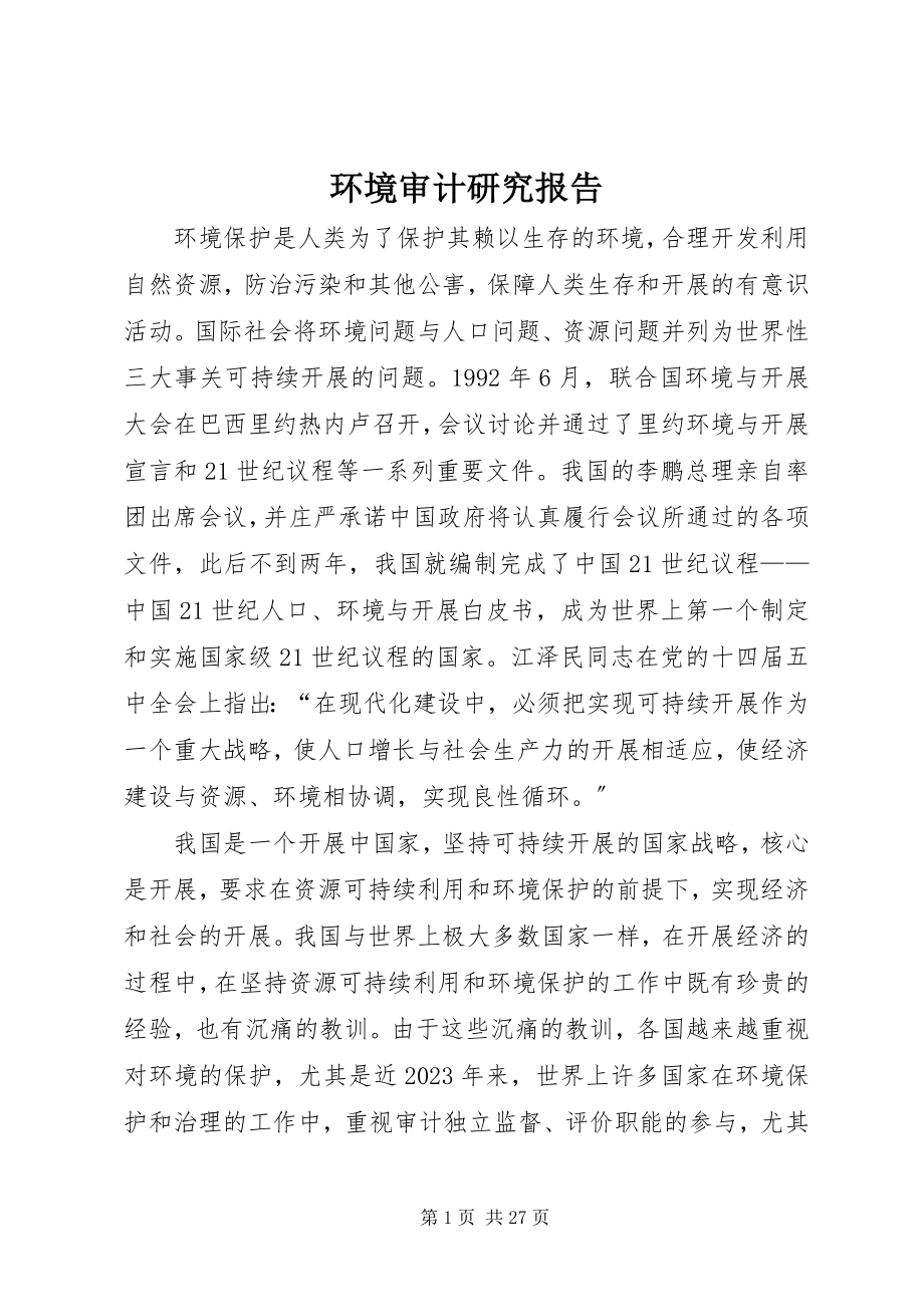 2023年环境审计研究报告.docx_第1页