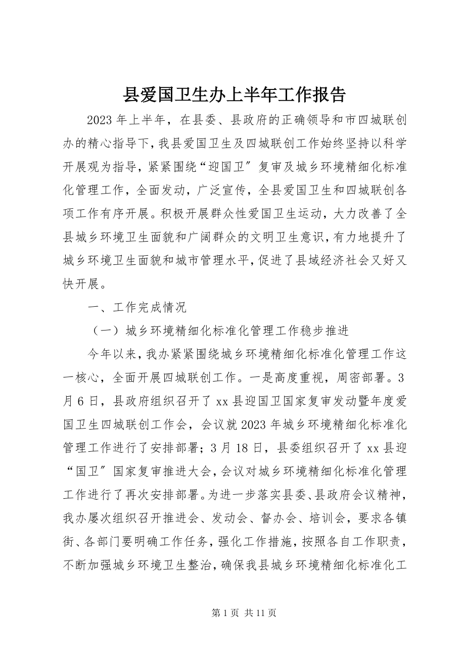 2023年县爱国卫生办上半年工作报告.docx_第1页