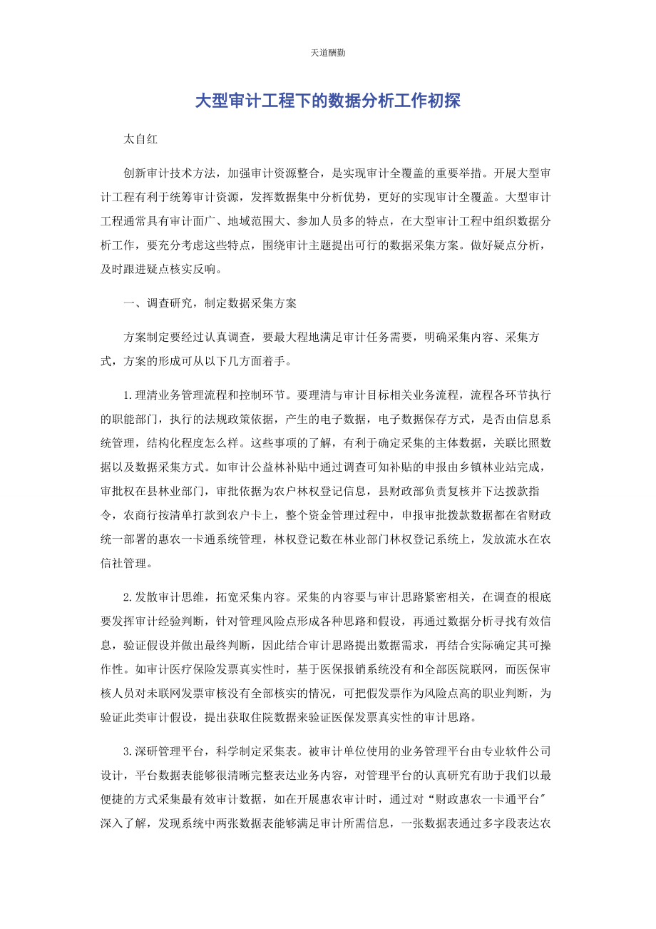 2023年大型审计项目下的数据分析工作初探.docx_第1页