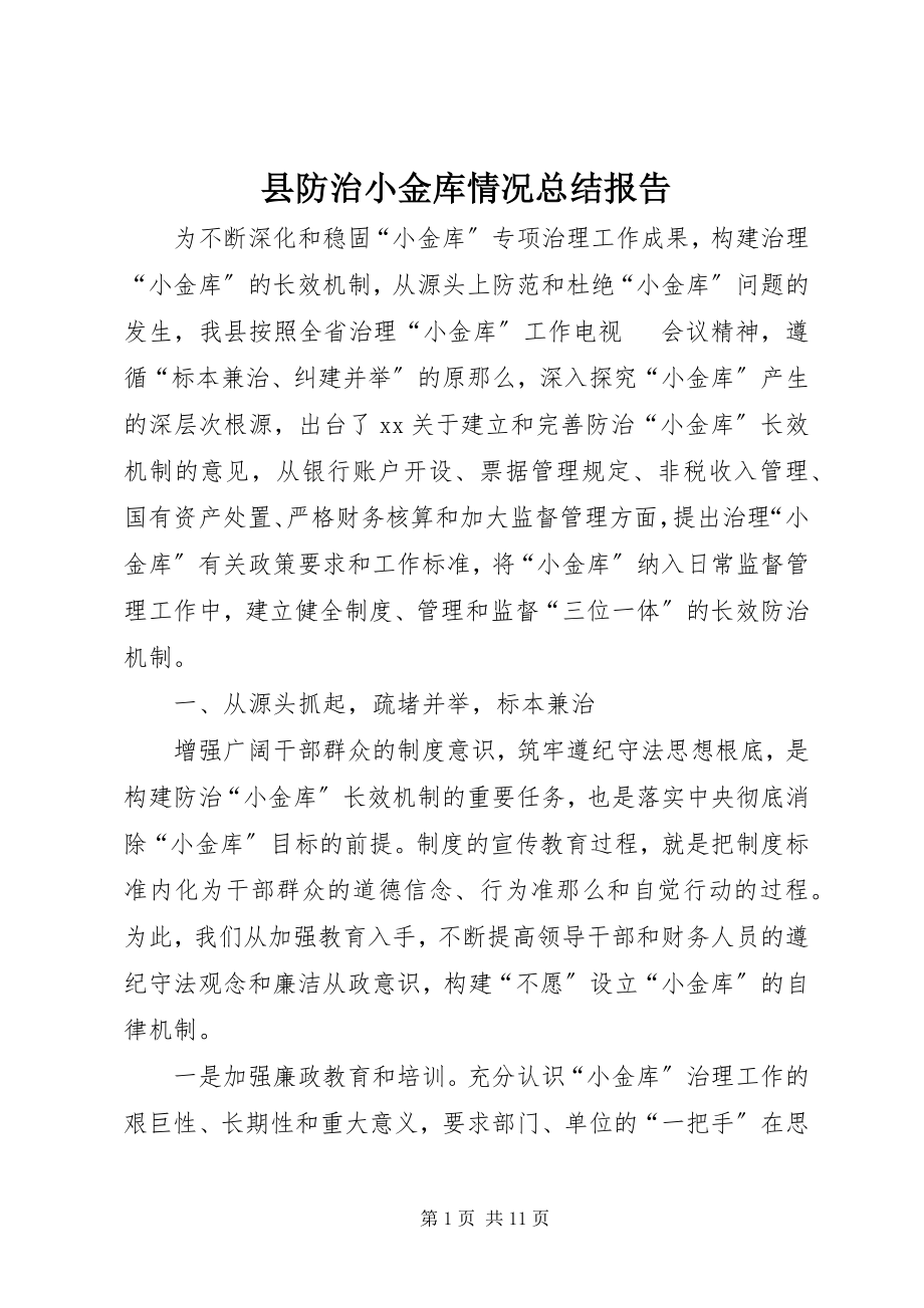 2023年县防治小金库情况总结报告.docx_第1页