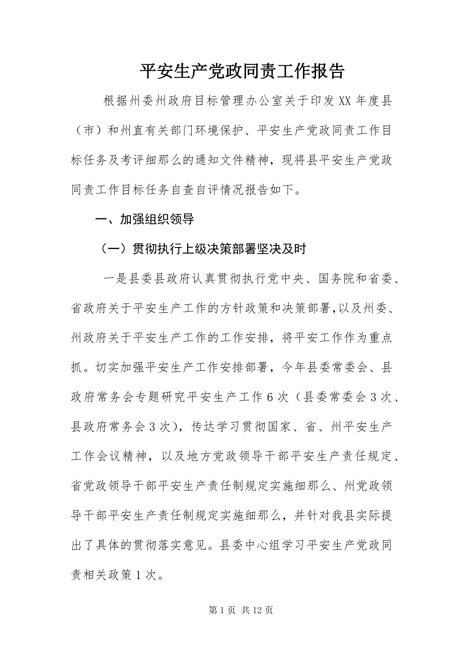 2023年安全生产党政同责工作报告新编.docx_第1页