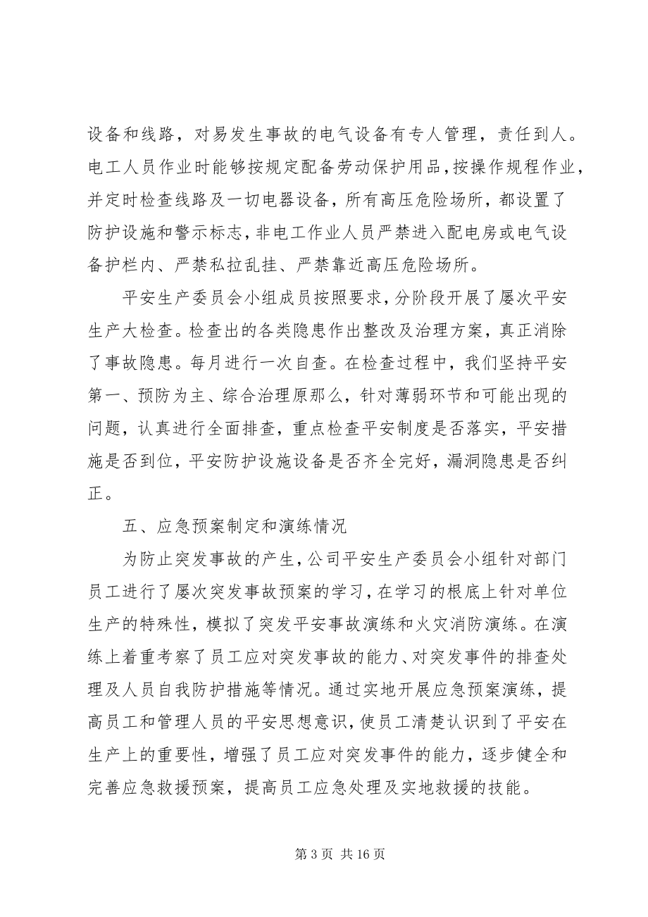 2023年安全生产自评报告优质佳文合集新编.docx_第3页