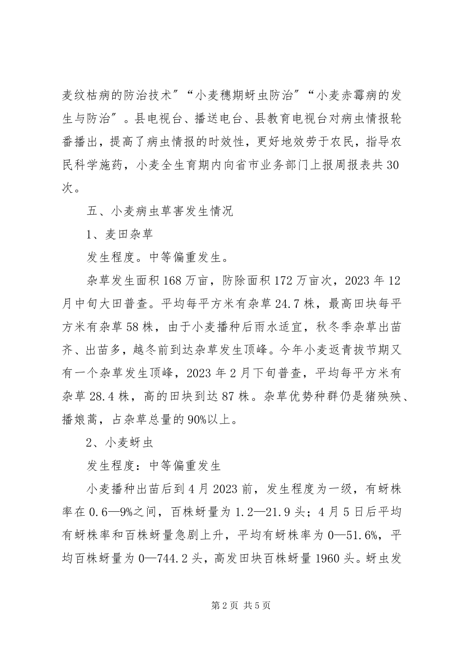 2023年小麦病虫情监测工作报告.docx_第2页