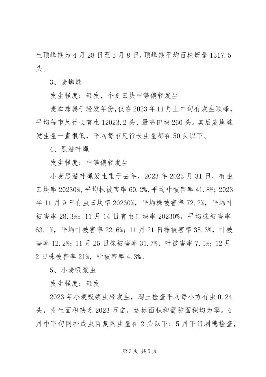 2023年小麦病虫情监测工作报告.docx_第3页