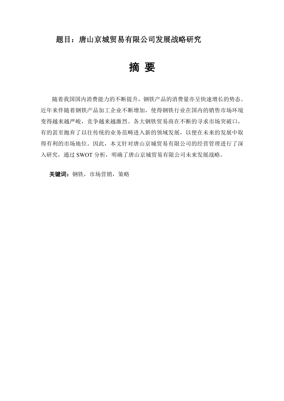 京城贸易有限公司发展战略研究分析国际经济贸易专业.doc_第1页