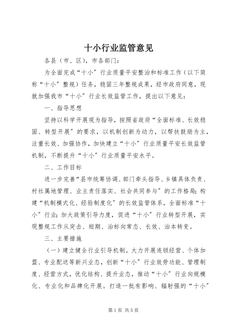 2023年十小行业监管意见.docx_第1页