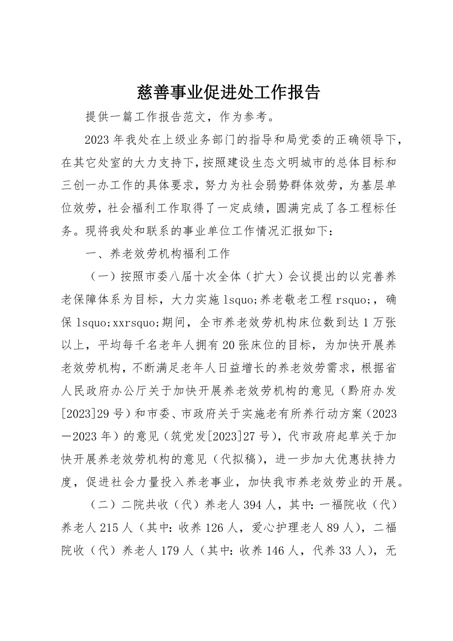 2023年慈善事业促进处工作报告新编.docx_第1页