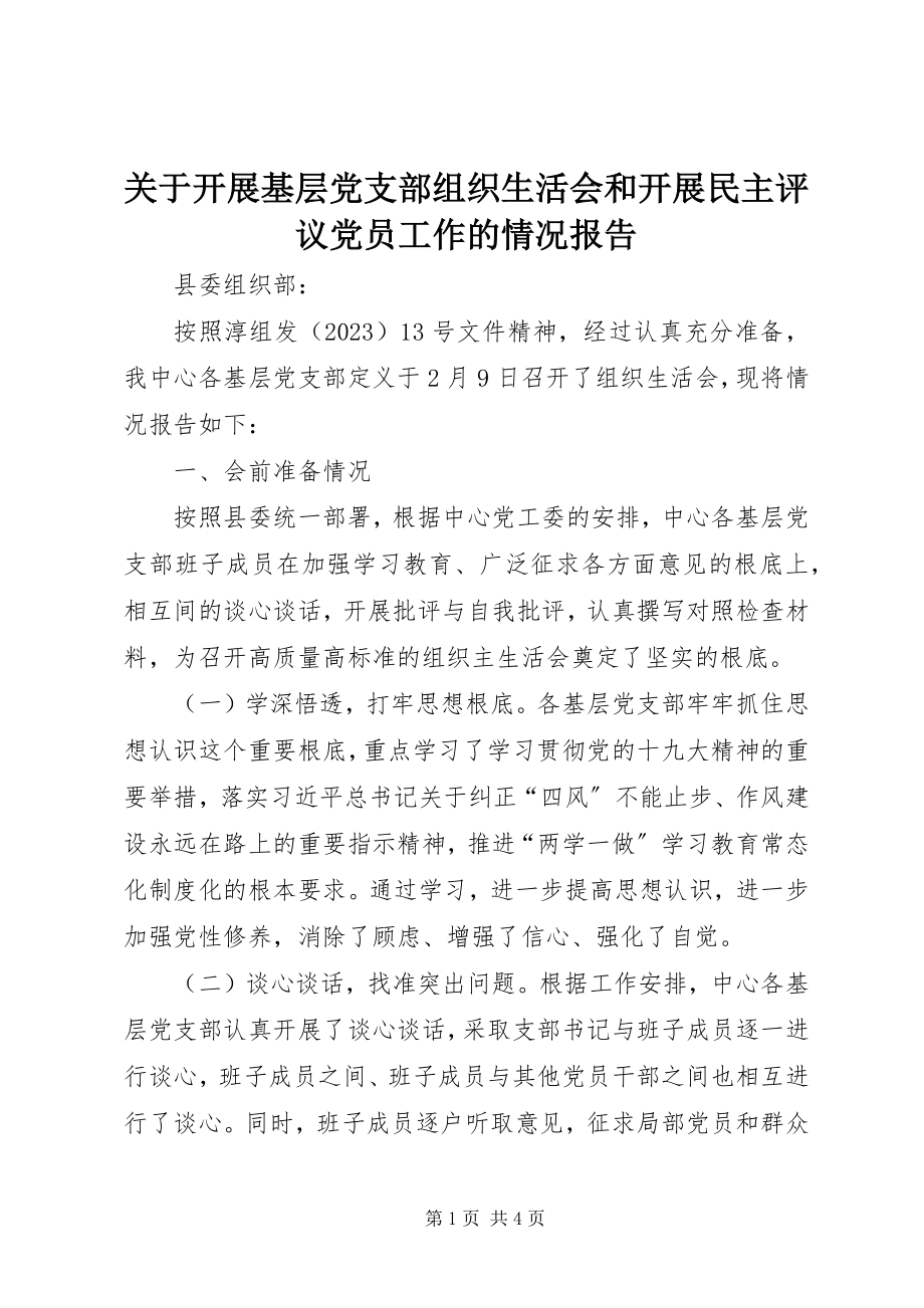 2023年开展基层党支部组织生活会和开展民主评议党员工作的情况报告.docx_第1页