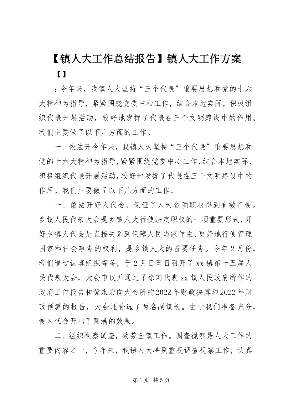 2023年镇人大工作总结报告镇人大工作计划新编.docx_第1页