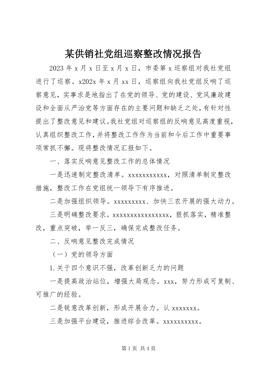 2023年某供销社党组巡察整改情况报告.docx_第1页