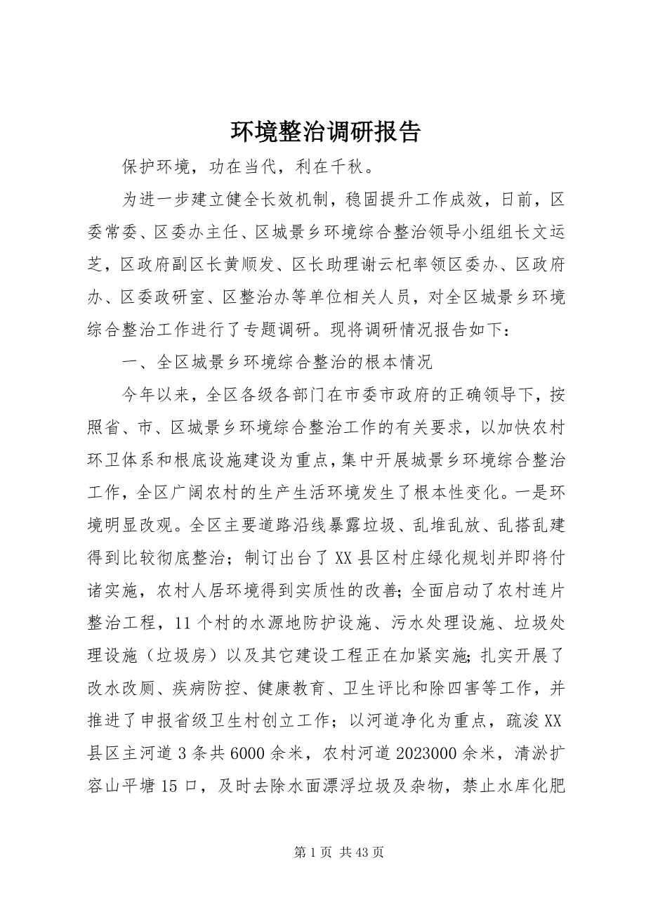 2023年环境整治调研报告.docx_第1页