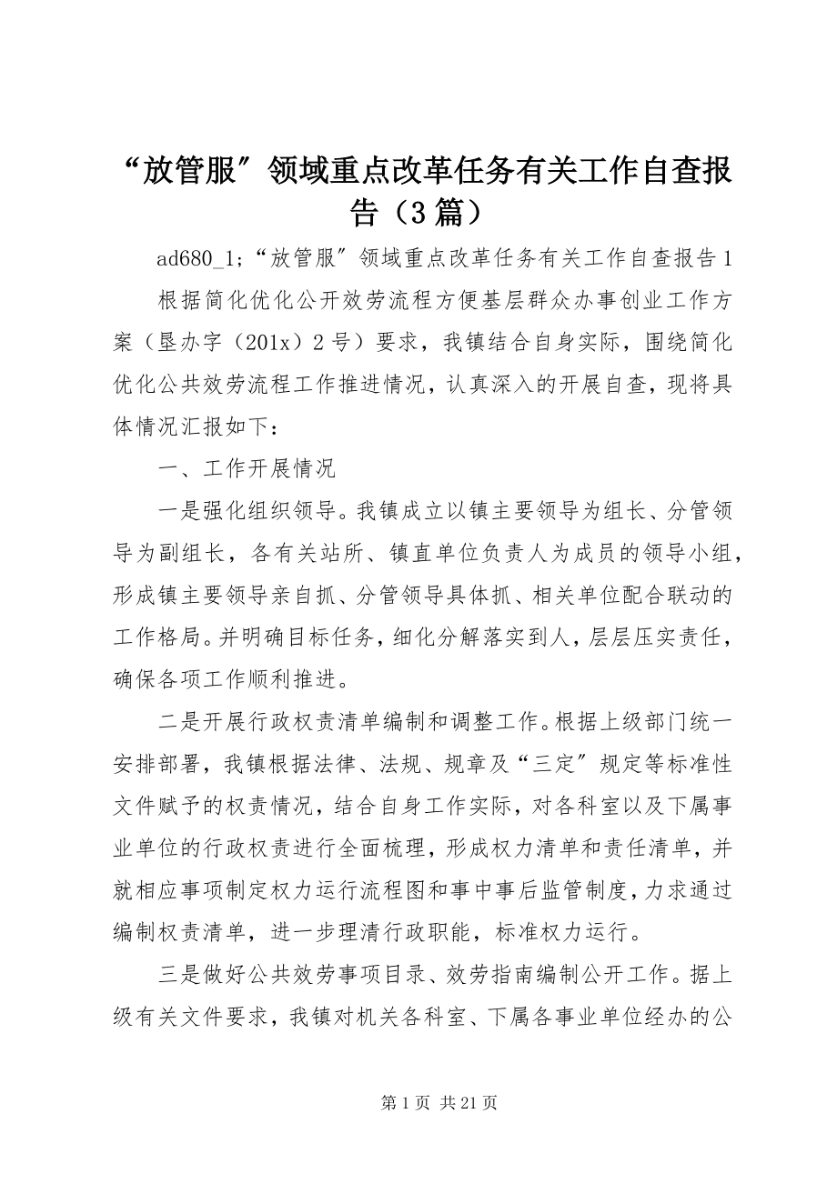 2023年放管服领域重点改革任务有关工作自查报告.docx_第1页