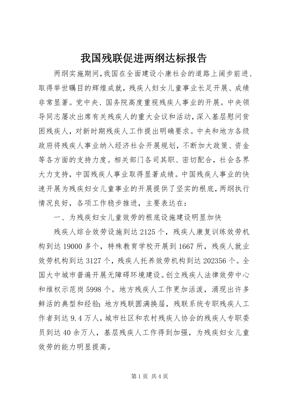 2023年我国残联促进两纲达标报告.docx_第1页