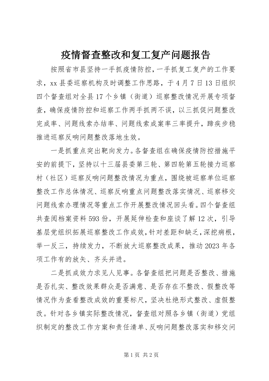 2023年疫情督查整改和复工复产问题报告.docx_第1页