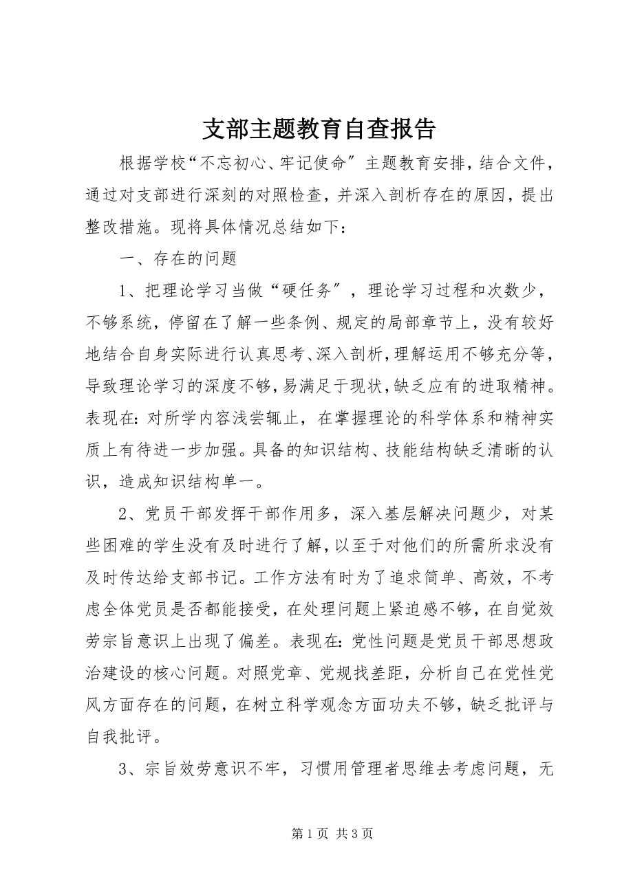 2023年支部主题教育自查报告.docx_第1页