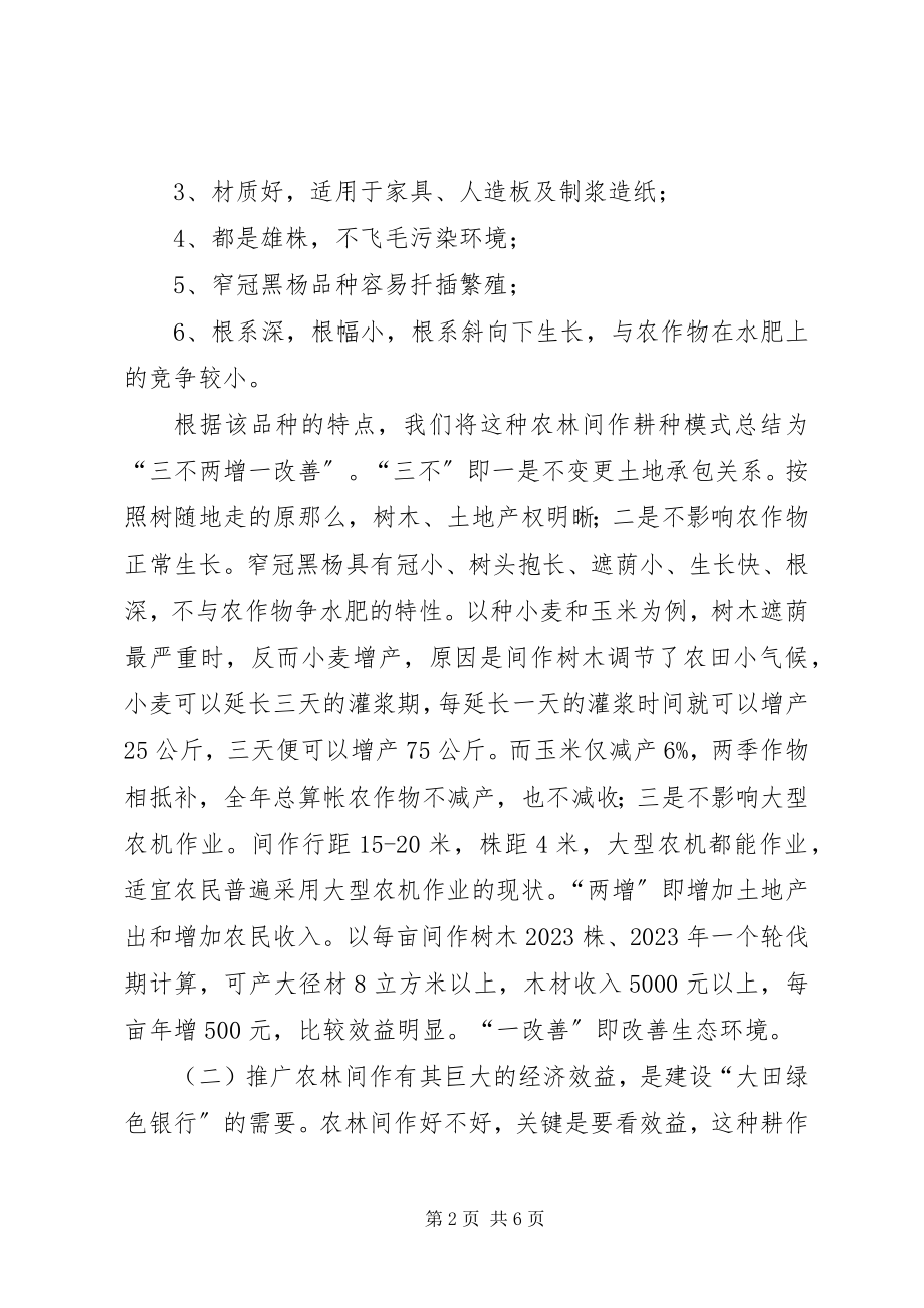 2023年在全县大力推广农林间作模式的报告报告.docx_第2页