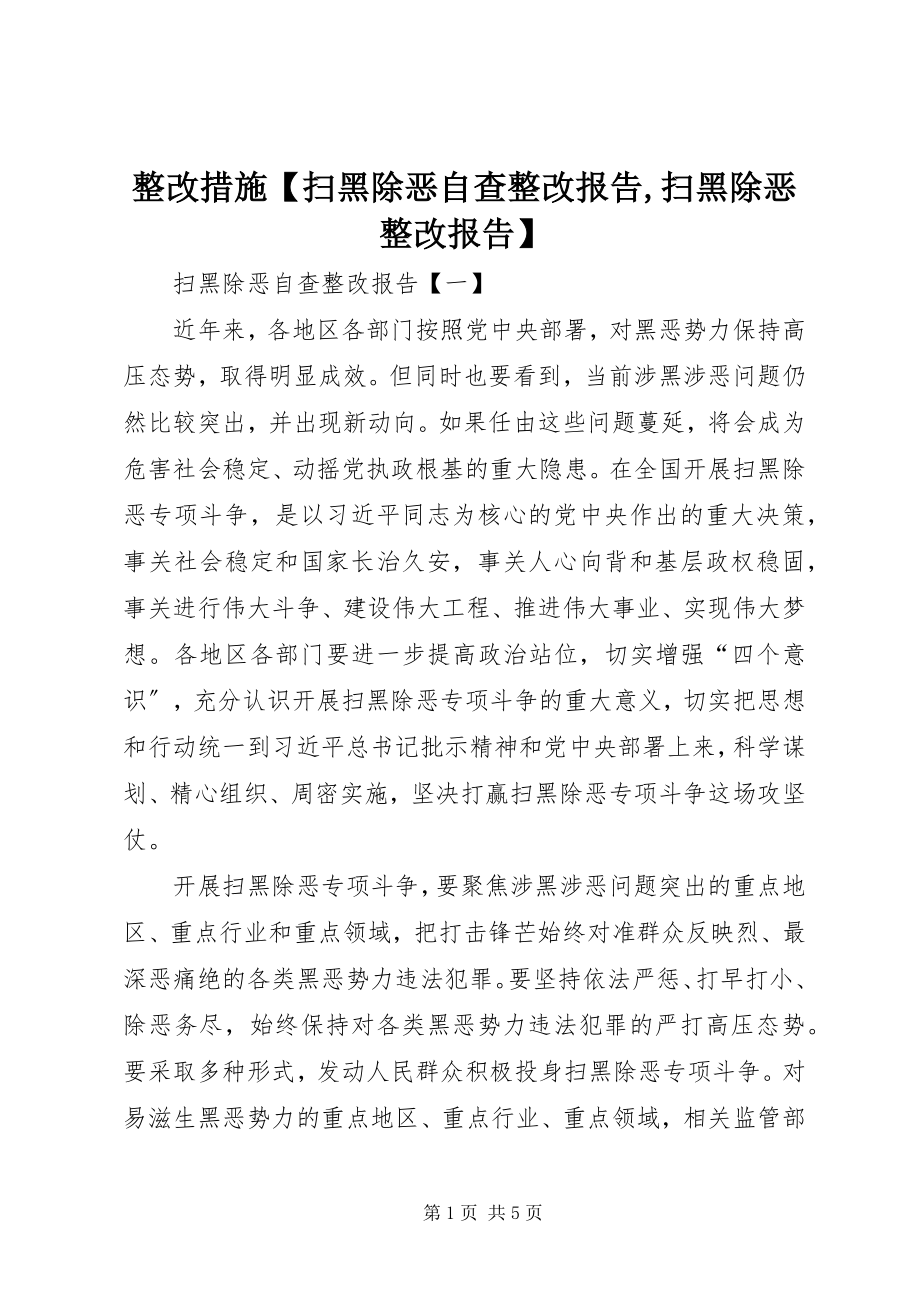 2023年整改措施扫黑除恶自查整改报告扫黑除恶整改报告.docx_第1页