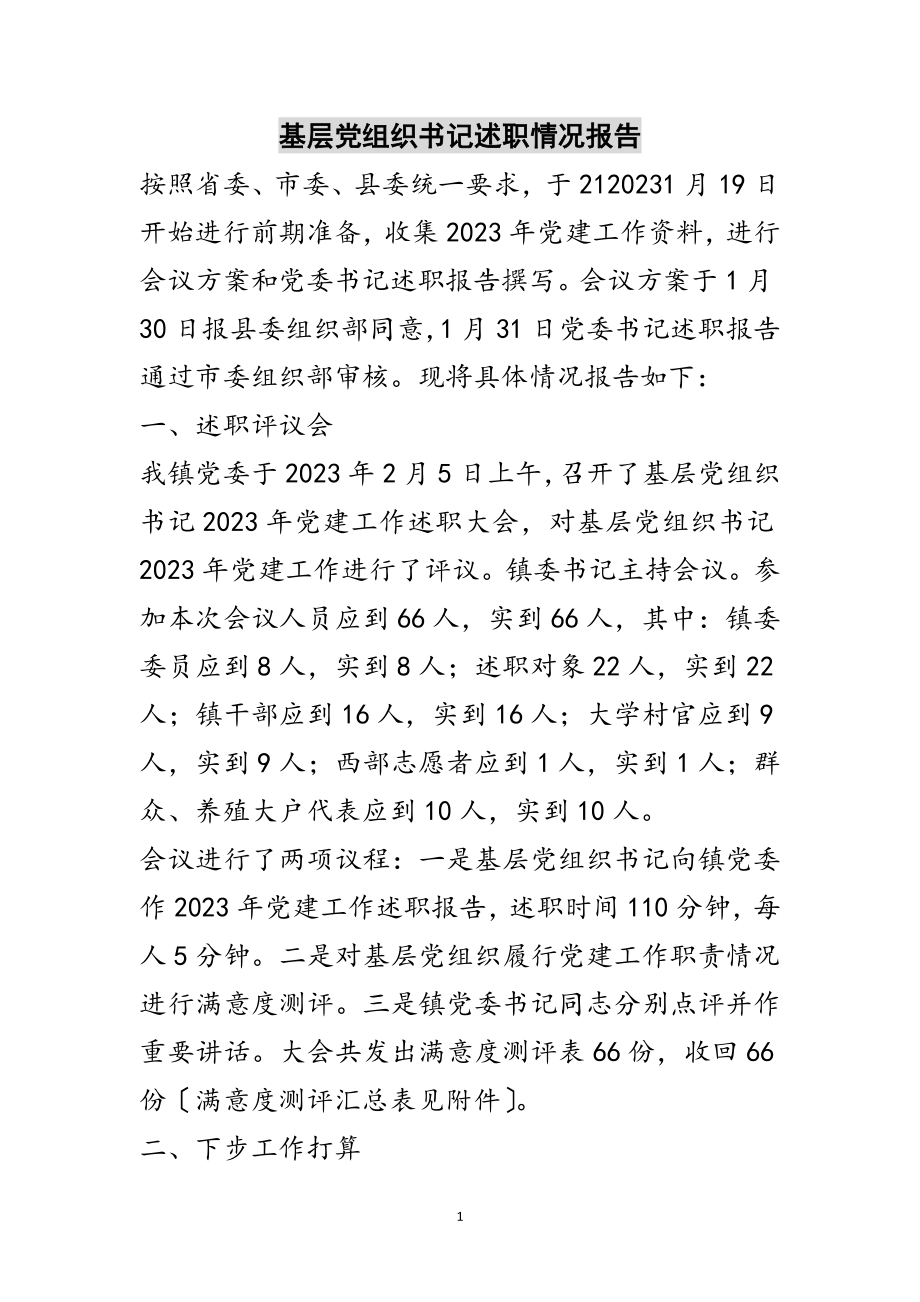 2023年基层党组织书记述职情况报告范文.doc_第1页