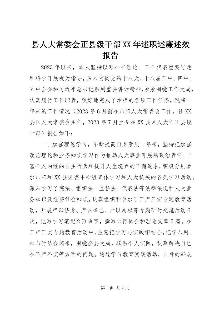 2023年县人大常委会正县级干部述职述廉述效报告.docx_第1页