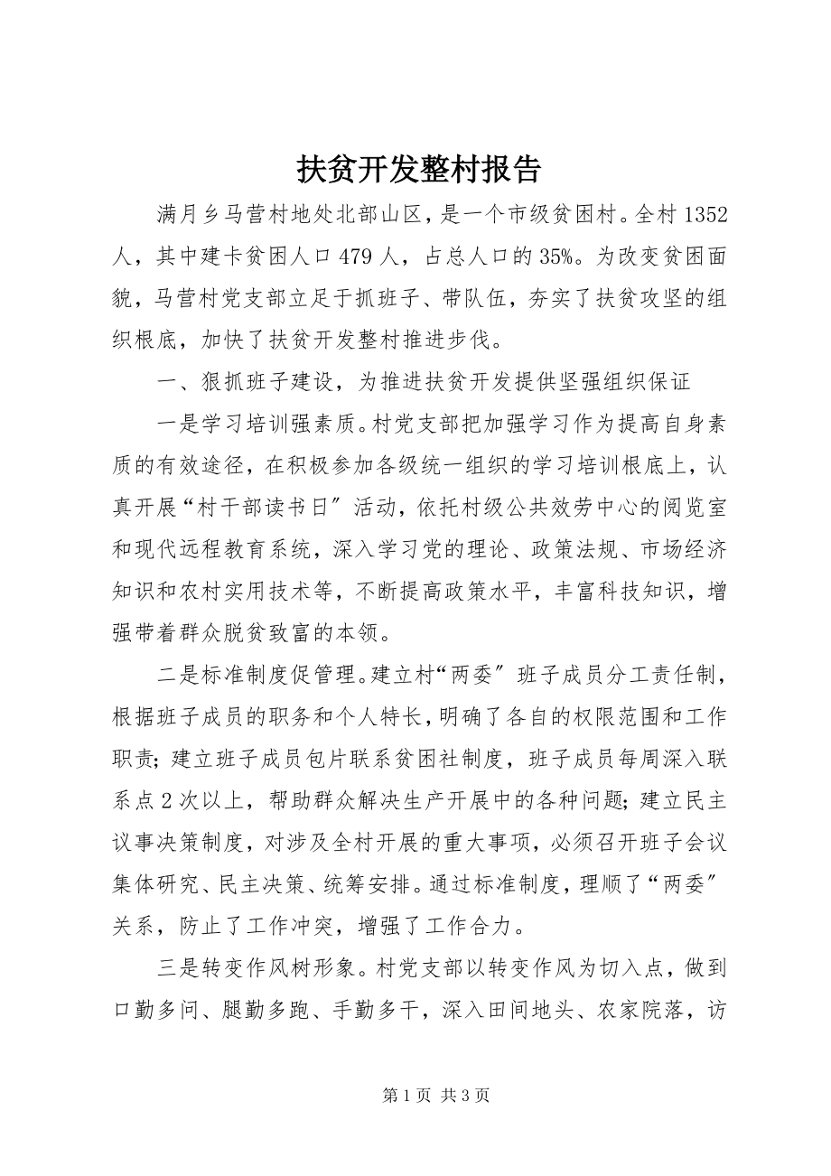 2023年扶贫开发整村报告.docx_第1页