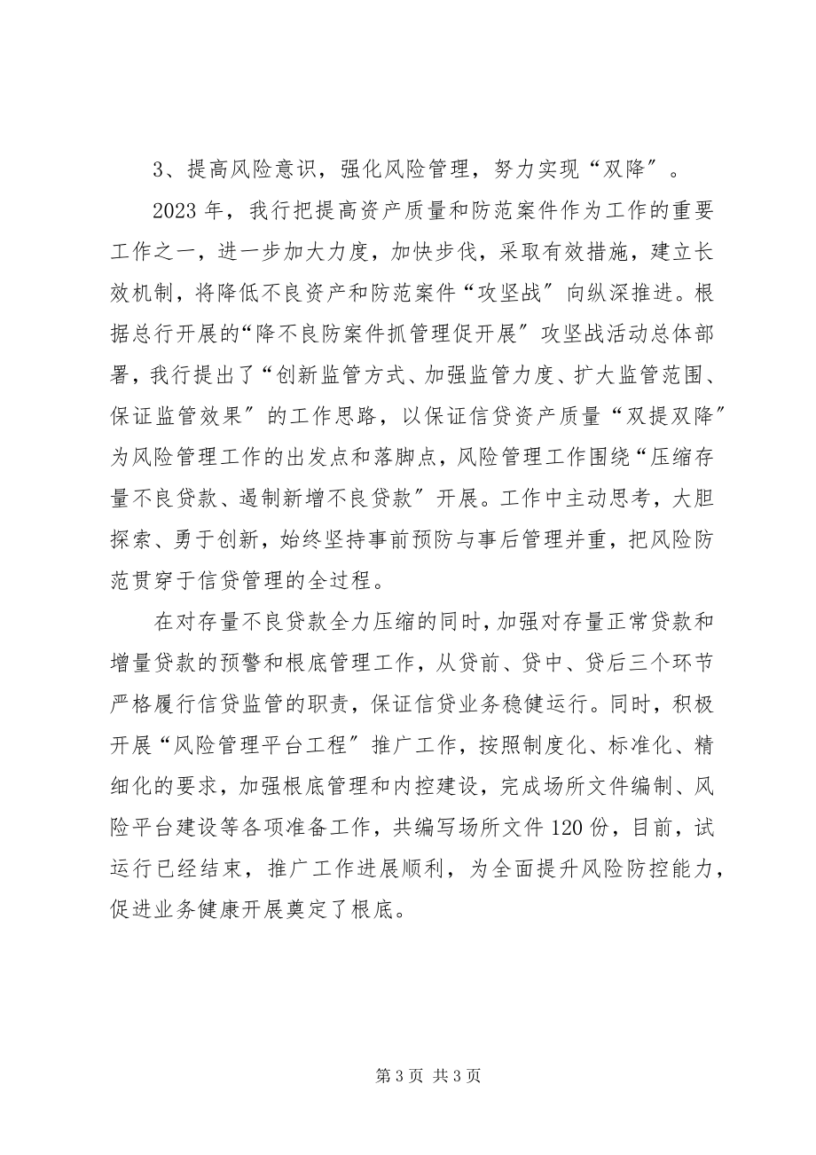 2023年支行行长助理述职报告2.docx_第3页